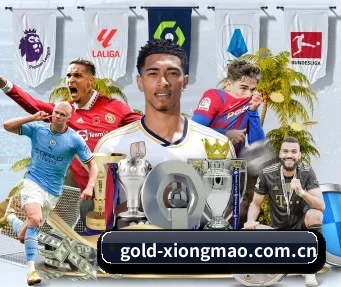 gold-xiongmao.com.cn APP